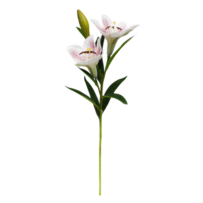 2.png 