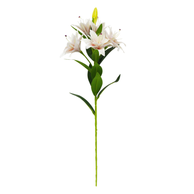 5.png 