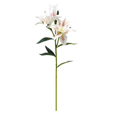 2.png 