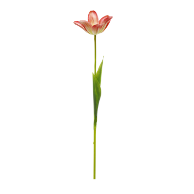 2.png 