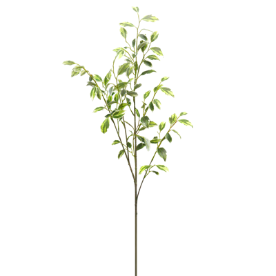 （2）.png 