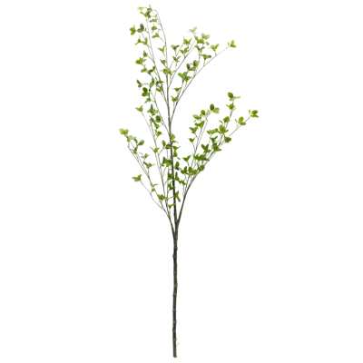 （1）.png 