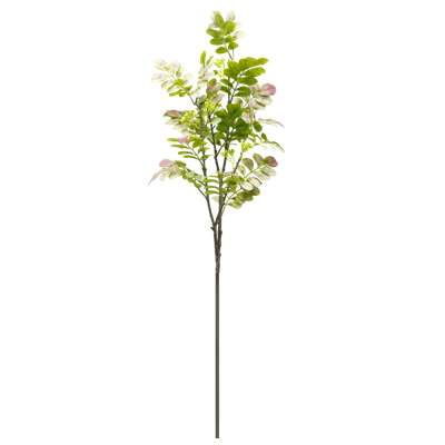 （3）.png 