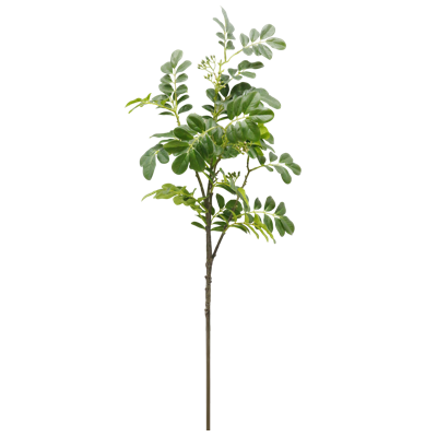 （1）.png 