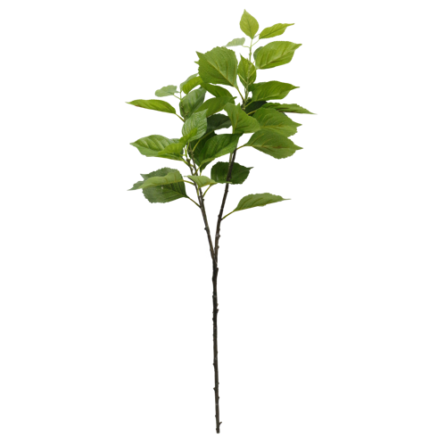 （1）.png 