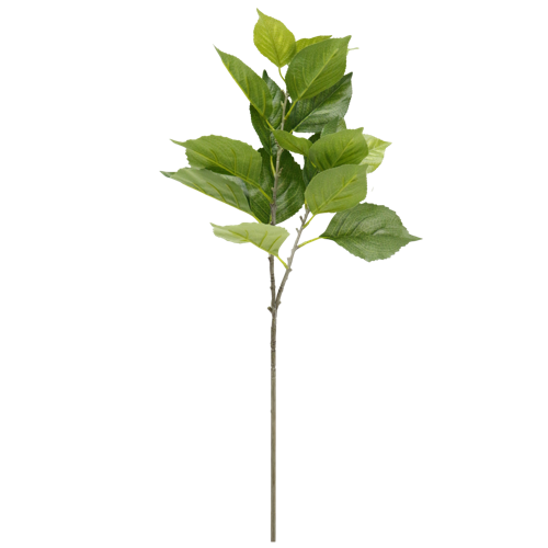 （1）.png 