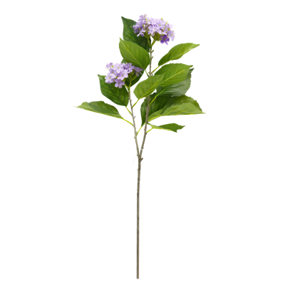 （2）.png 