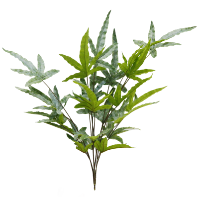 （2）.png 