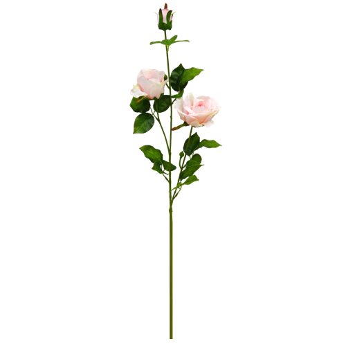 （4）.png 