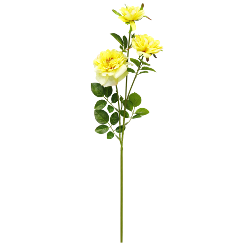 （5）.png 