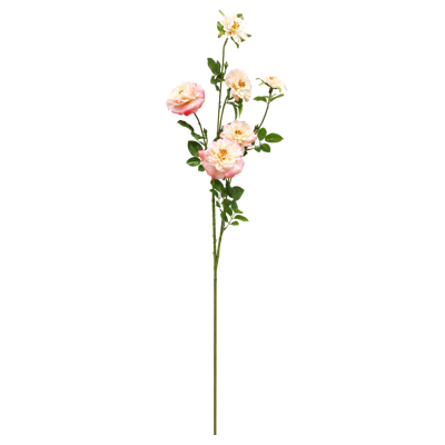 （2）.png 
