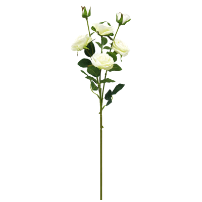 （2）.png 