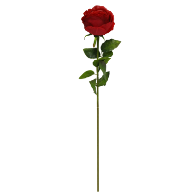 （8）.png 