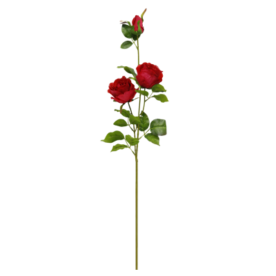 （8）.png 
