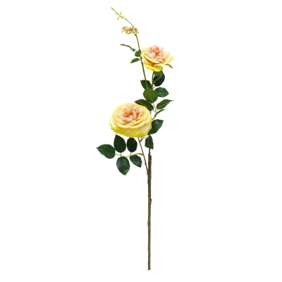 （4）.png 