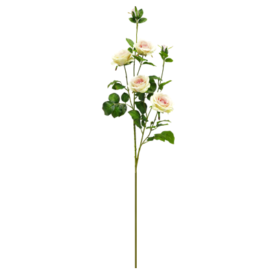 （6）.png 