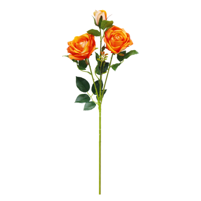 （7）.png 