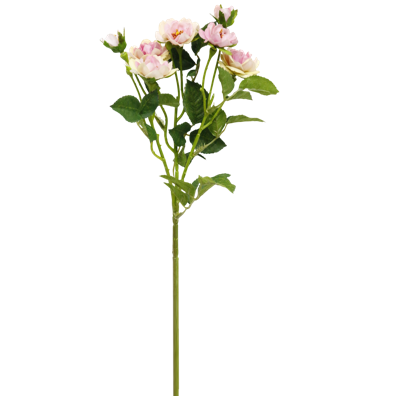 （5）.png 