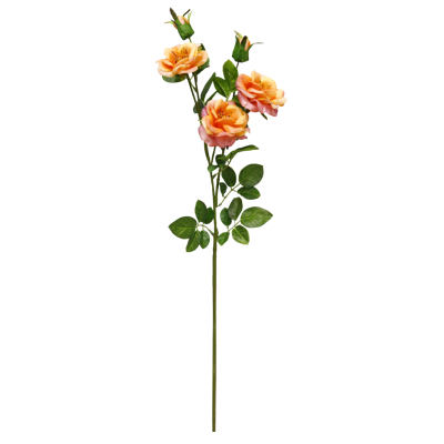 （6）.png 